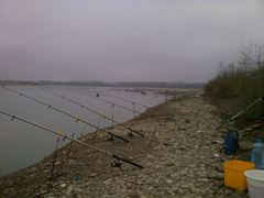 pescuit siret